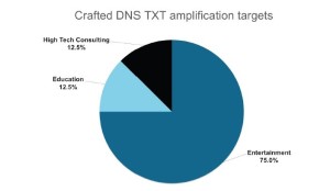 High Tech Consulting, Education and Entertainment Targeted in New DNS Amplification Attacks