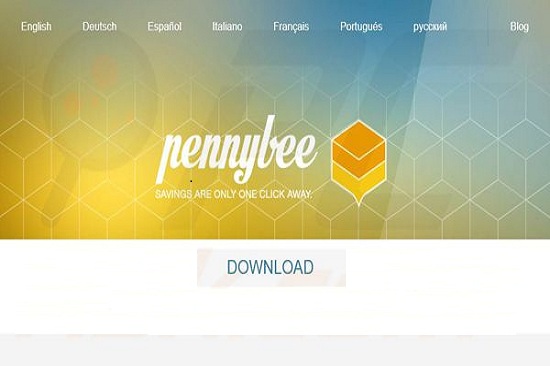 pennybee-removal