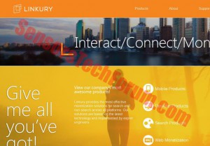 Linkury website
