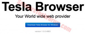 tesla browser