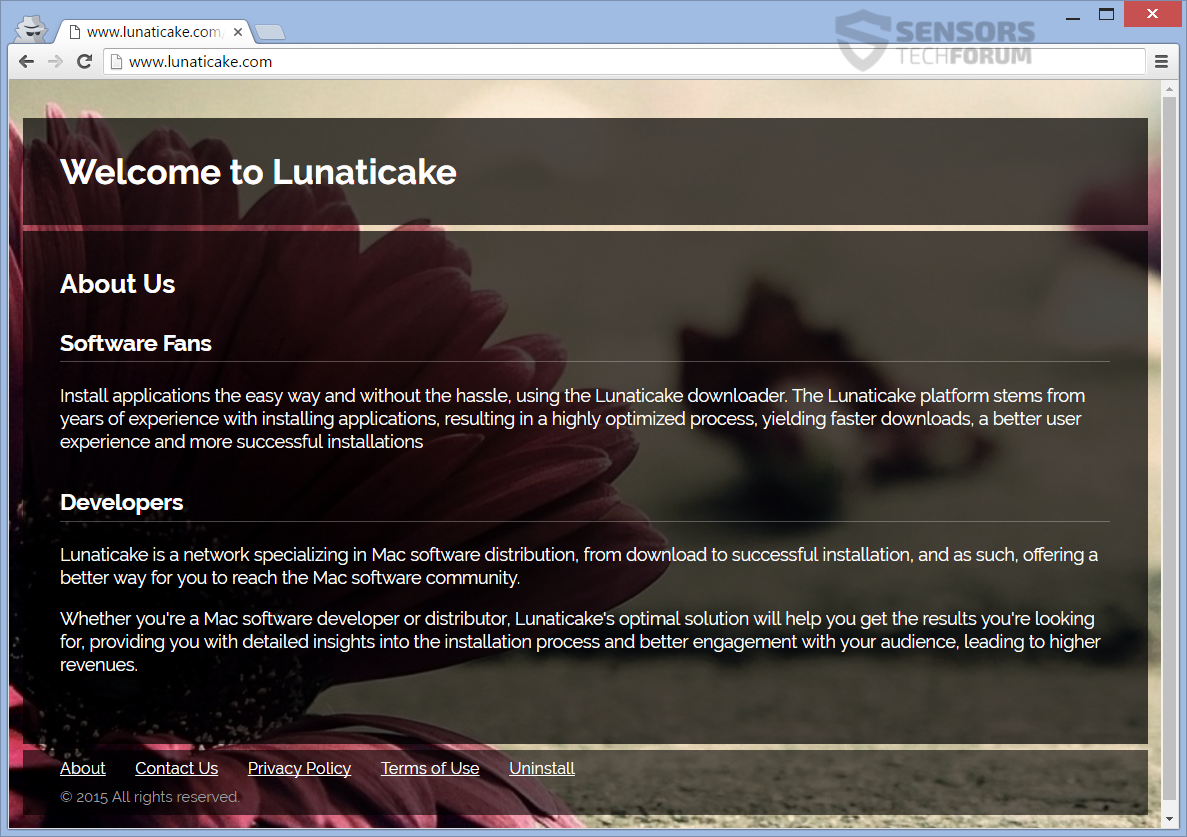 STF-lunaticake-com-main-page-browser-hijacker