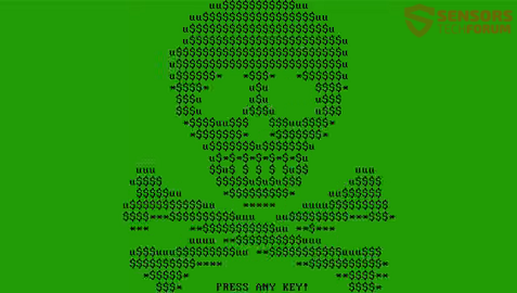 STF-mischa-ransomware-boot-écran-vert-crâne acsi