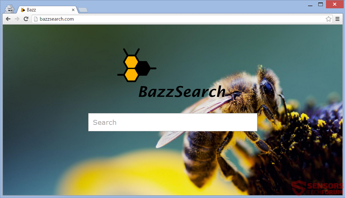 STF-bazzsearch-bazz-search-main-site-page