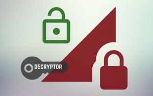 ransomware-crittografia-decryption-key-2-stforum