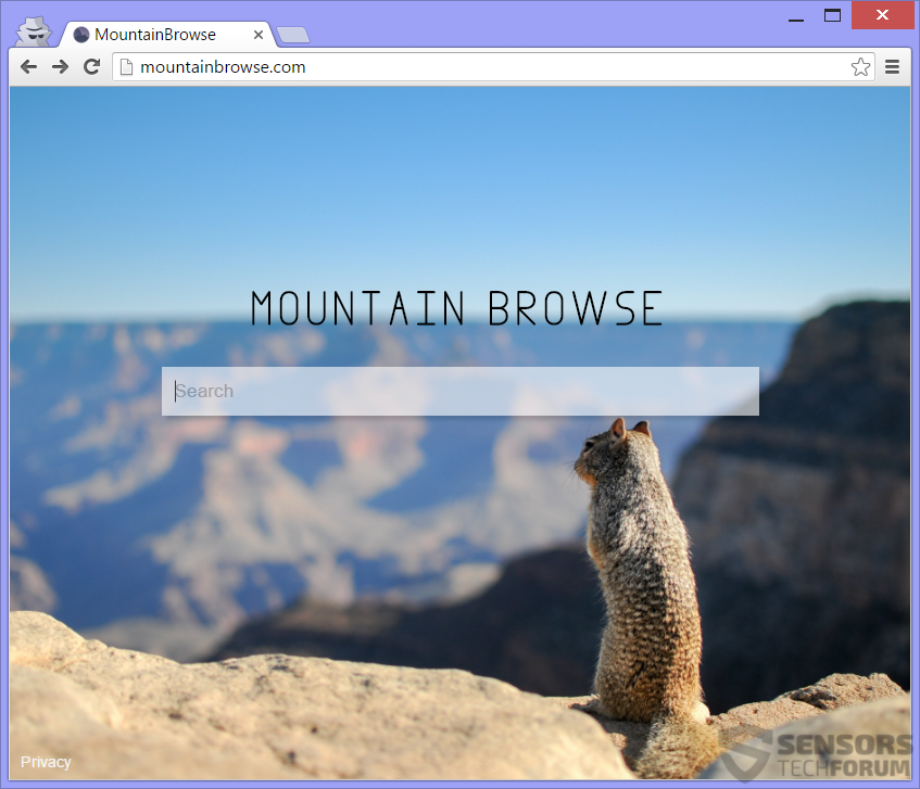 STF-mountainbrowse-com-mountain-browse-hijacker-safefinder-safe-finder-main-page