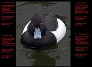 angry-duck-ransowmare-sensorstechforum