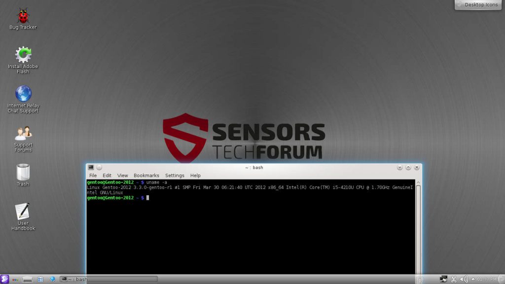 Gentoo Linux Server screenshot billede