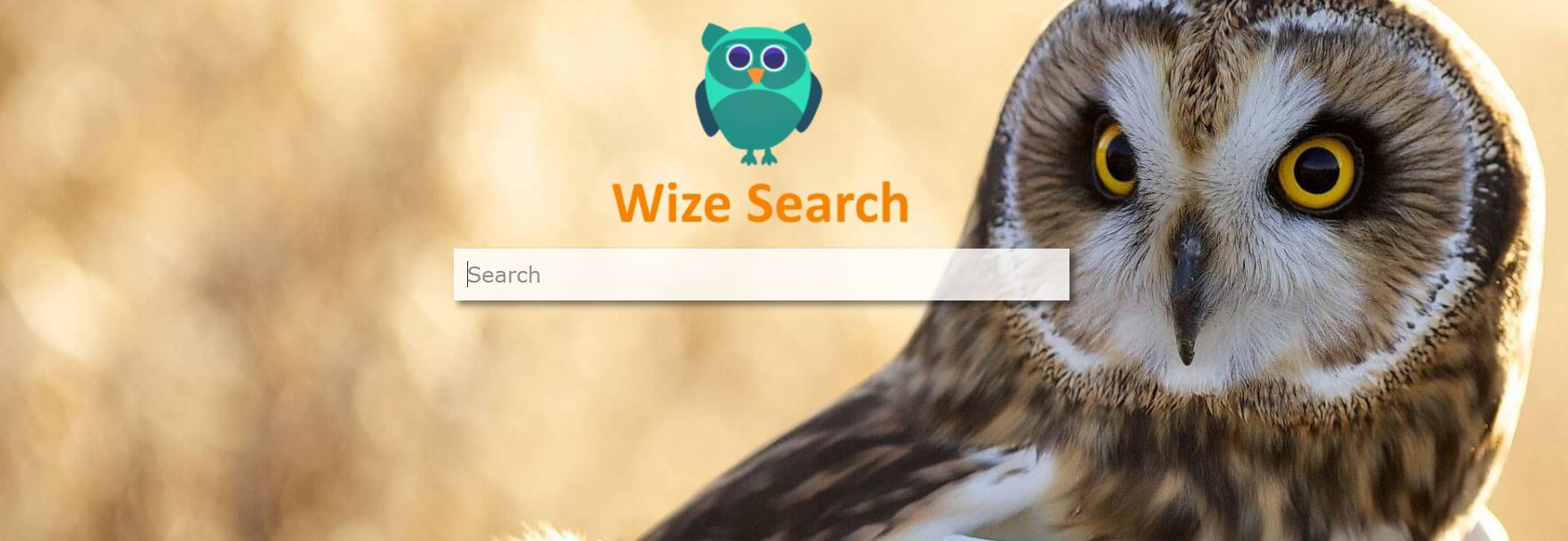 how to remove Wizesearch.com redirect