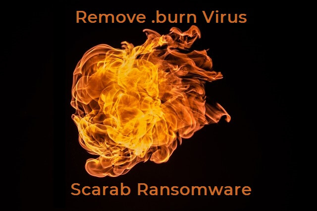 burn scarab ransomware