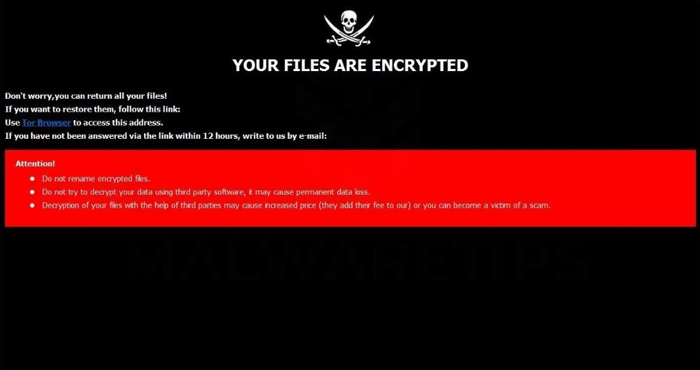 2NEW ransomware virus ransom message