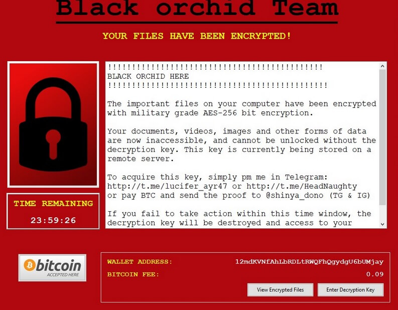 stf-shinya-virus-file-black-orchid-ransomware