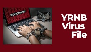 yrnb-virus-file-stop-ransomware-sensorstechforum-verwijdering
