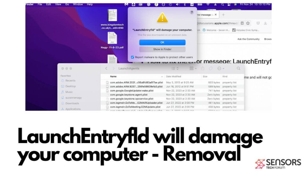 LaunchEntryfld dañará su computadora - Eliminación