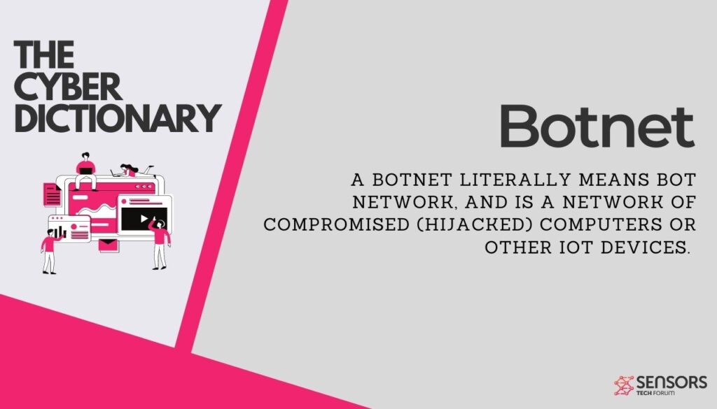 Definizione del dizionario informatico botnet