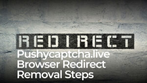 Pasos para eliminar la redirección del navegador Pushycaptcha.live
