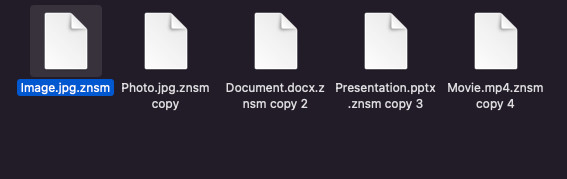 znsm files encrypted remove