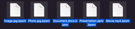 bpws-Dateien verschlüsselt entfernen