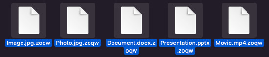 extension de fichier zoqw