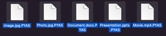 pyas-Dateierweiterung