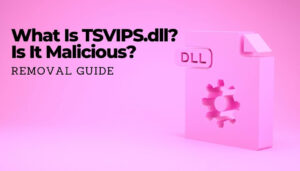 Hvad er TSVIPSrv.dll og er det ondsindet? [Removal Guide] - sensorstechforum