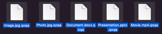 qoqa ウイルス ファイル デクリプタ フリー
