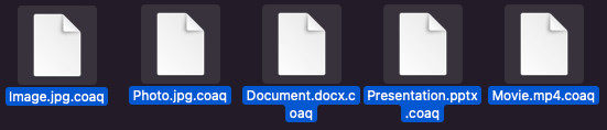 coaq ファイル拡張子のないデクリプター