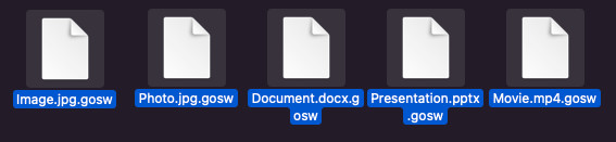 extensão de arquivo gosw descriptografar descriptografar grátis remover