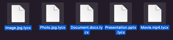 extensión de archivos tycx