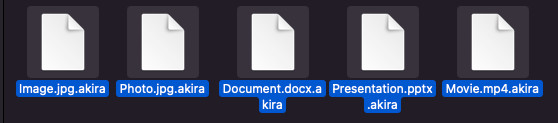 Akira-Dateien entschlüsseln kostenlos