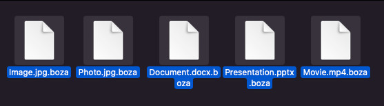 boza-Dateien