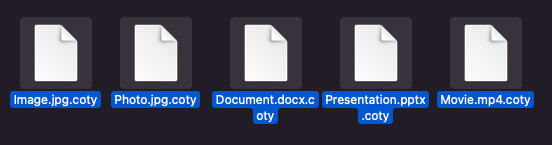 coty estensione del file