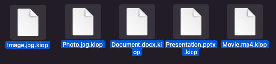 kiop で暗号化されたファイルを復号化し、修正を無料で行う