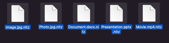 nitz ファイル拡張子は、無料の .nitz ファイルを復号化します