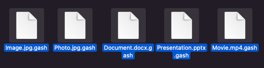 Gash Dateierweiterung .gash entschlüsseln kostenlos öffnen