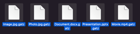 guía de eliminación de extensión de archivos gatz descifrador gratis