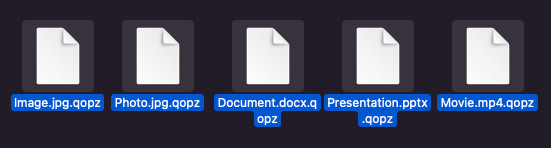 .qopz filtypenavn krypterede filer hvordan man åbner hvad er qopz filer