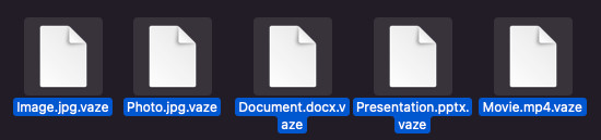 vaze ファイル拡張子の削除ガイドの無料修正