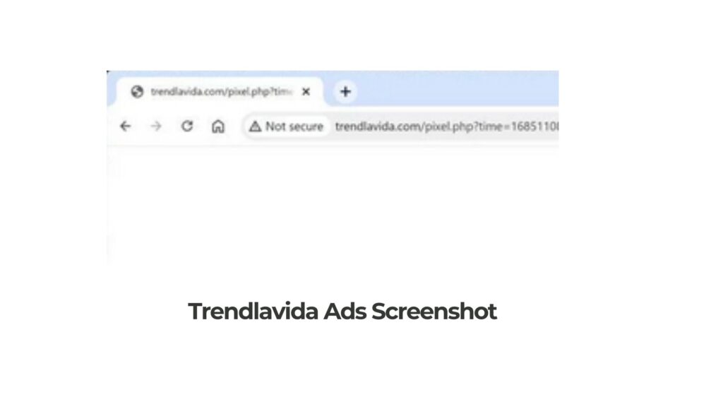 Trendlavida.com スクリーンショット広告ウイルス除去ガイド
