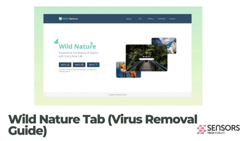 Wild Nature Tab (Virus Removal Guide)
