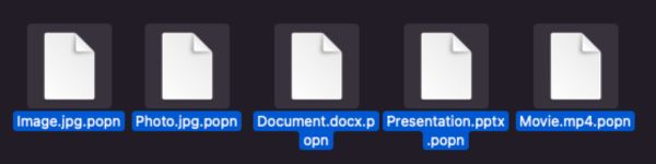 POPN-Dateierweiterung Decryptor kostenlos entfernen
