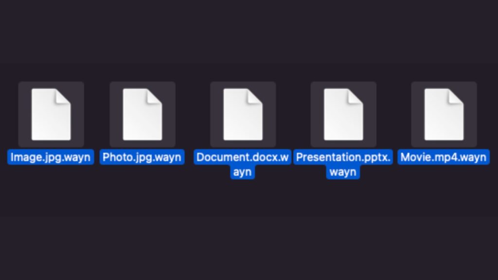 Descifrado de eliminación de extensión de archivo WAYN
