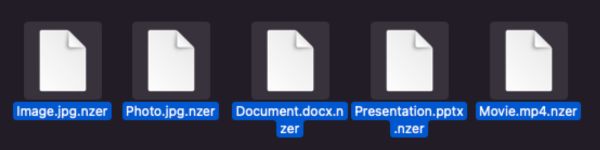 .nzer file extension