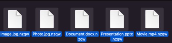 Extensão do arquivo nzqw
