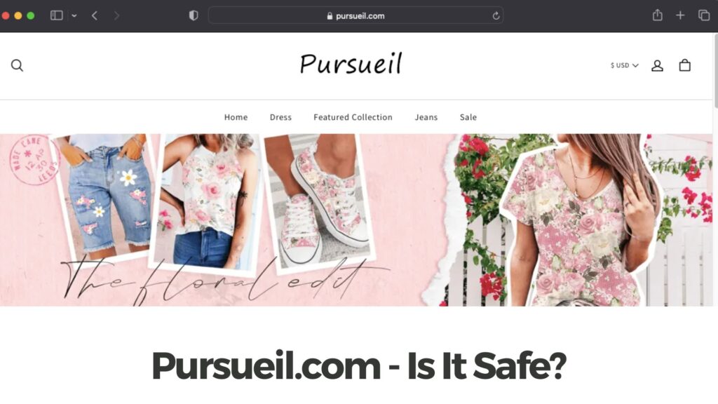PURSUEIL.COM - Is It Safe?