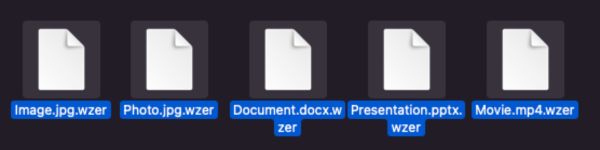.wzer file extension