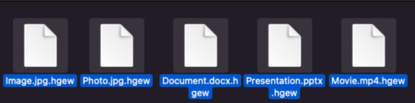 hgew-file-extension