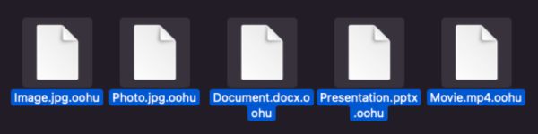 extension de fichier oohu