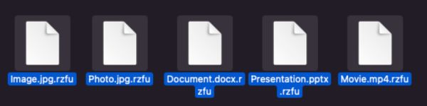 .rzfu file extension