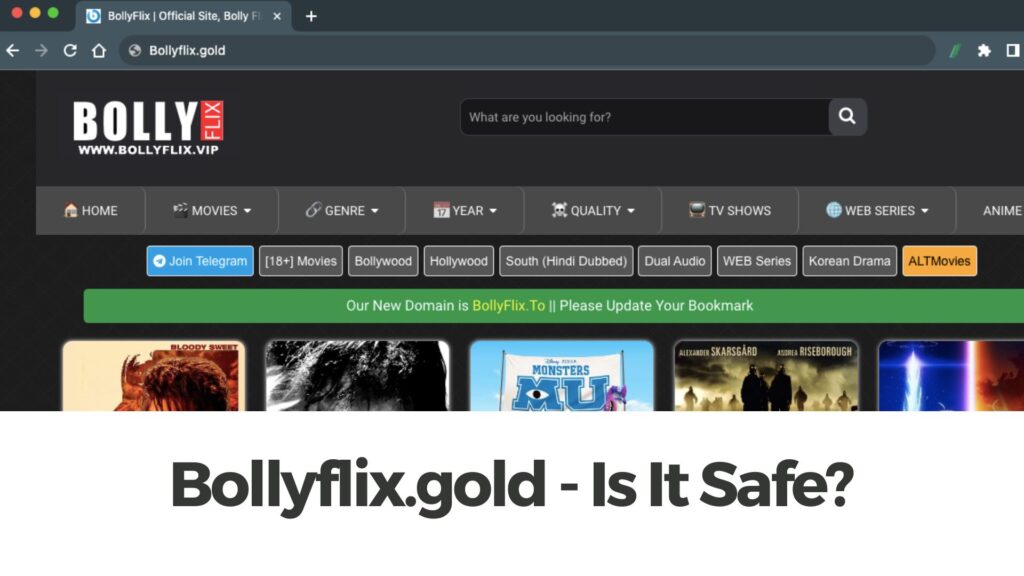 Bollyflix.gold – ¿Es seguro??