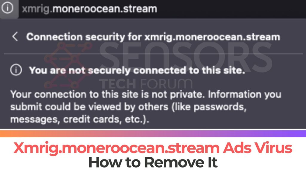 Xmrig.moneroocean.stream Miner Virus - Removal